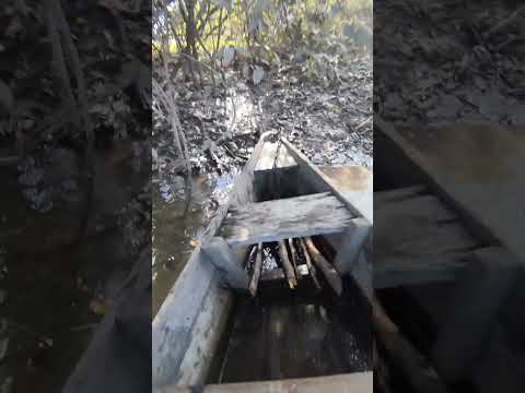 Iniciando a pescaria 🎣 Rio Arraiá Bonfim/RR