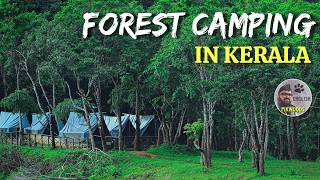 Tiger Trail Tent Camping inside Kerala Forest | Periyar National Park Trekking English 4K