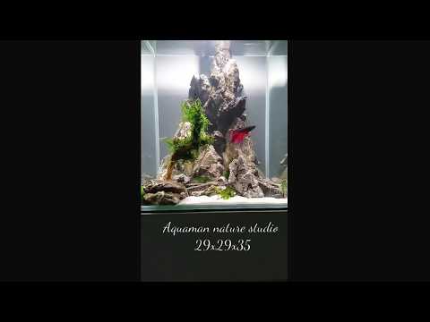 Aquael shrimp set 30 l