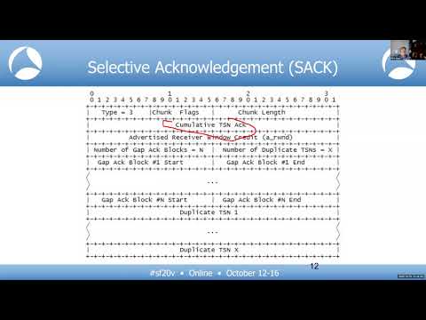 SF20V - 19 The Other Protocols (used in LTE) (Mark Stout)