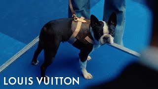 Louis Vuitton Best in Show | LOUIS VUITTON