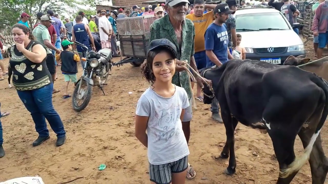 Feira do Gado da Vila do jirimum Taquaritinga do Norte PE 26/01/2025 $$