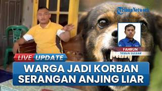 Pulang Antar Istri, Pria di Polman Jadi Korban Serangan Anjing Liar, Sempat Dicakar
