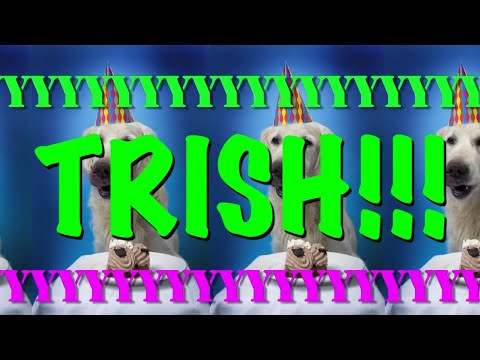 HAPPY BIRTHDAY TRISH! - EPIC Happy Birthday Song