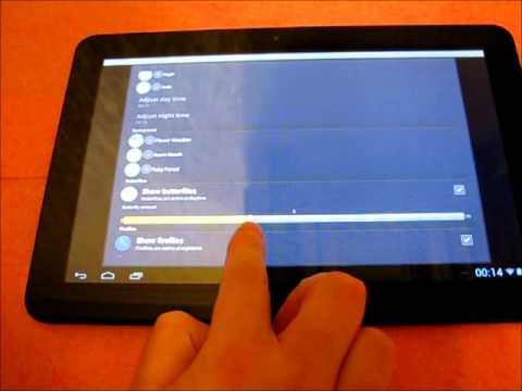 Summer Teddy Bear Video