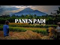 PANEN PADI Original Song ByAdiyus