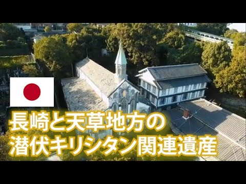 なぜツゲの蛾捕りを作るのですか？万全の予防！  庭園