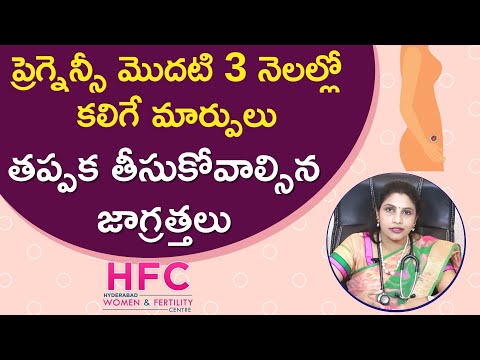 ప్రెగ్నెన్సీ మొదటి 3 నెలల్లో మార్పులు, జాగ్రత్తలు