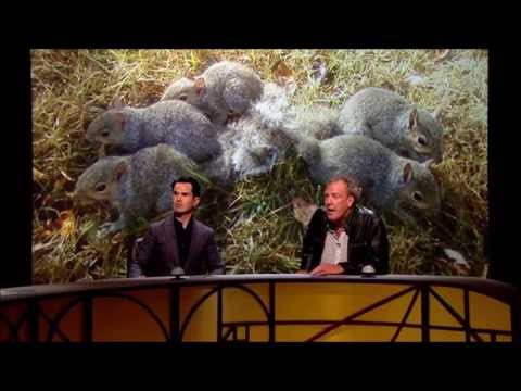 Jeremy Clarkson | QI | Squirrels | Hilarious Outburst