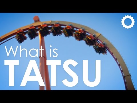 What is: Tatsu - Six Flags Magic Mountain