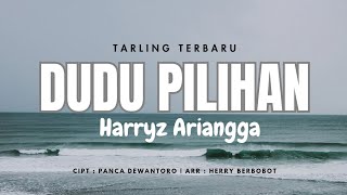 Download lagu Dudu Pilihan - Harryz Ariangga | Lirik Lagu Tarling Terbaru mp3