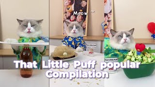 That Little Puff Compilation | the most popular collection2 #thatlittlepuff #catsofyoutube
