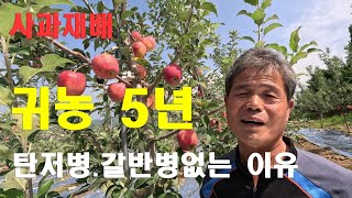 [사과재배] 귀농5년/이 부부의 사과농사법/처음에는 아낀다고 휘돌아 쳤어요