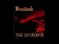 Benümb/Pig Destroyer – split