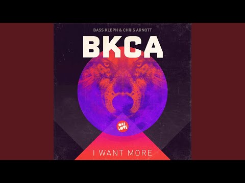 I Want More (Disfunktion Remix)