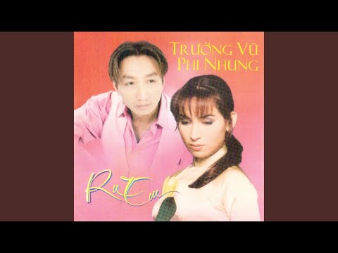 Đêm kỷ niệm - Trường Vũ