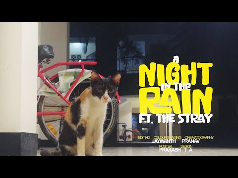 A Night in the Rain ft. The Stray (Featurette)