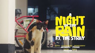 A Night in the Rain ft. The Stray | 4K HDR | A Jaywanth Visual | Shot on iPhone 16 Pro