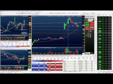 Palinha do Palex - dia 22 janeiro de 2019 - MANHÃ