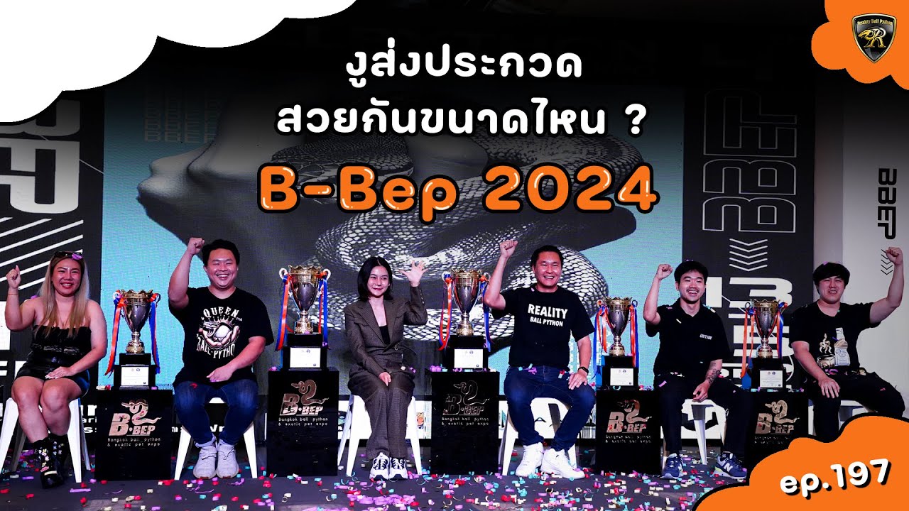 งูส่งเข้าประกวดสวยกันขนาดไหน?【 EP.197| 4K 】#realityballpython #ballpython