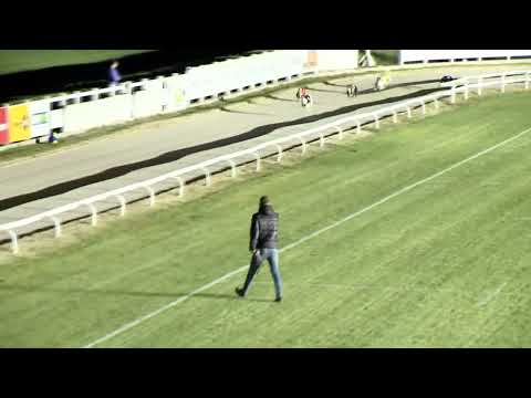 2022.09.11. 18. futam - Európa Derby Kategória