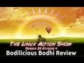 Bodilicious Bodhi Review | LAS | s25e04
