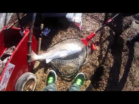 Fishing at the Port Aransas Jetties