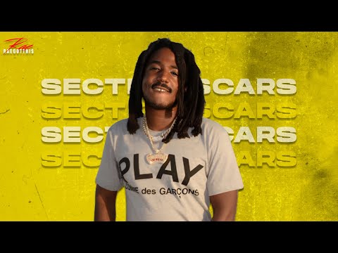 [FREE] Mozzy x Celly Ru Type Beat ''Section Scars'' Hard West Coast Type Beat 2025