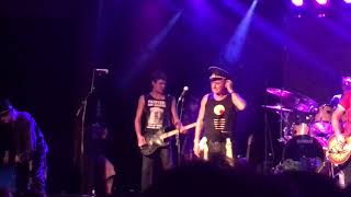 Basia live Painters and Dockers