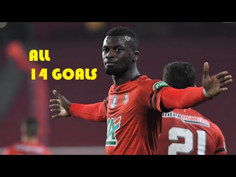 M'baye Niang - All 14 Goals - 2018/2019