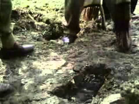 Doctor Who Episode Tribute No.64 - Robot