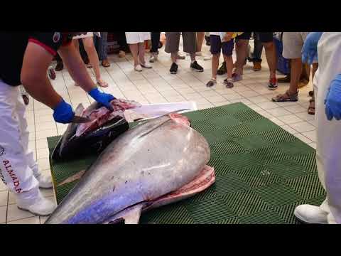 Ronqueo del atún 2018 en E.Leclerc Salamanca