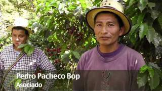 preview picture of video 'The Coffee Trust ∣ Asociación Chajulense'