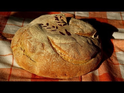download lagu mp3 mp4 Durum Wheat Bread Recipe, download lagu Durum Wheat Bread Recipe gratis, unduh video klip Durum Wheat Bread Recipe