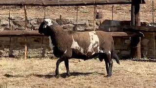 Download lagu 41 mp3