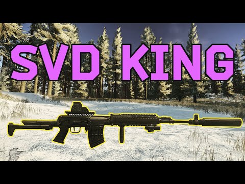This Ergonomic SVD Build is so GOOD - Escape from Tarkov Weapon Guide