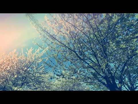 punktus – Vi är bra