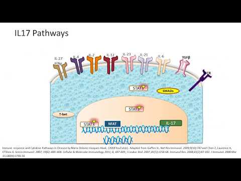 Cytokines signaling and IL17 Pathways