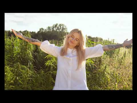 Guova - Przeminęło z wiadrem