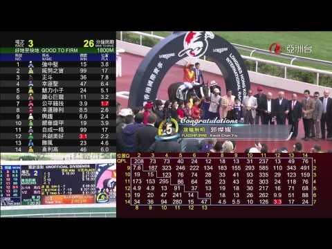 旗幟鮮明 (P104) 韋達 08/12/2013