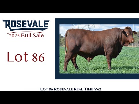 Lot 86 Rosevale Real Time V62