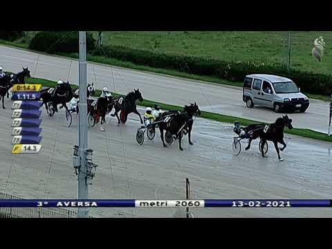 Aversa trotto 13 Febbraio 2021 - 3° Corsa
