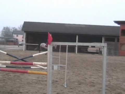 jumping 27 02 2011