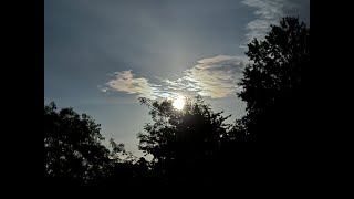 The Woodland Chronicles Week 35 – Voices of Love