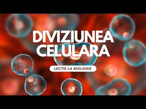 Diviziunea Celulara