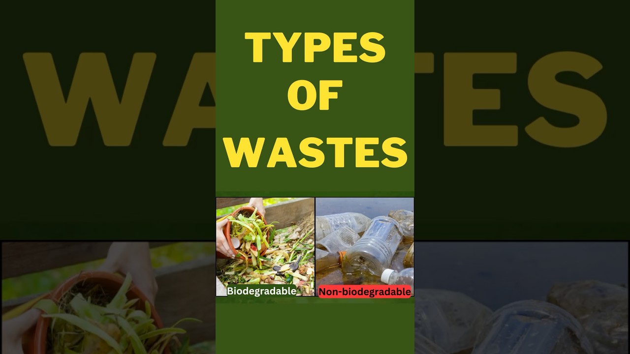 Biodegradable and Non-Biodegradable Wastes: Simple Explanation with Examples!