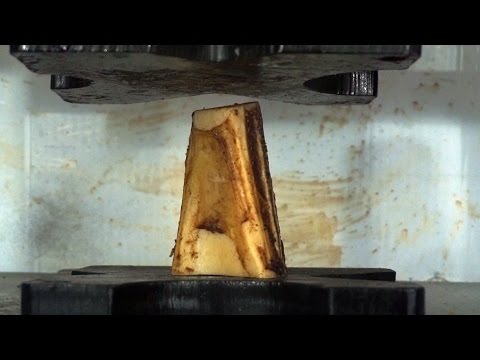 Real Bone Crushed By Hydraulic Press Video