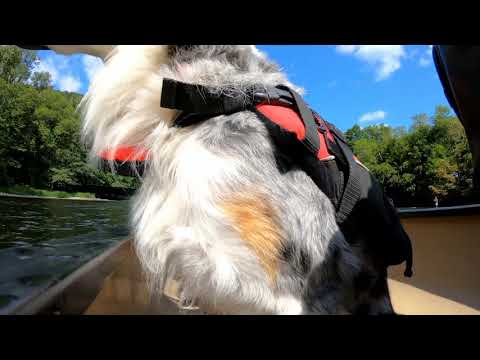 kanukassel-TV: Road-Trip 2019 FRANCE Clip 7: DORDOGNE aus der GoPro-Perspektive