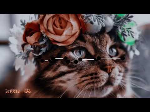 Ti si mi zhivota/Ти си ми живота-Alicia x Leo (slowed)