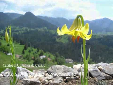 Cazare Selistea, Botosani - Cazat.ro